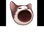 Popcat?