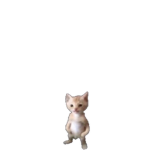 寄生虫