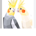 Birds United [-]