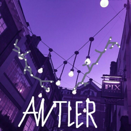 🌺Antler Clothing®