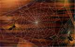 Dark Spiders