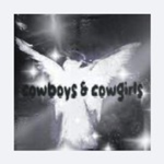 * + c o w g i r l s & c o w b o y s + *