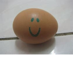 The amazing eggs