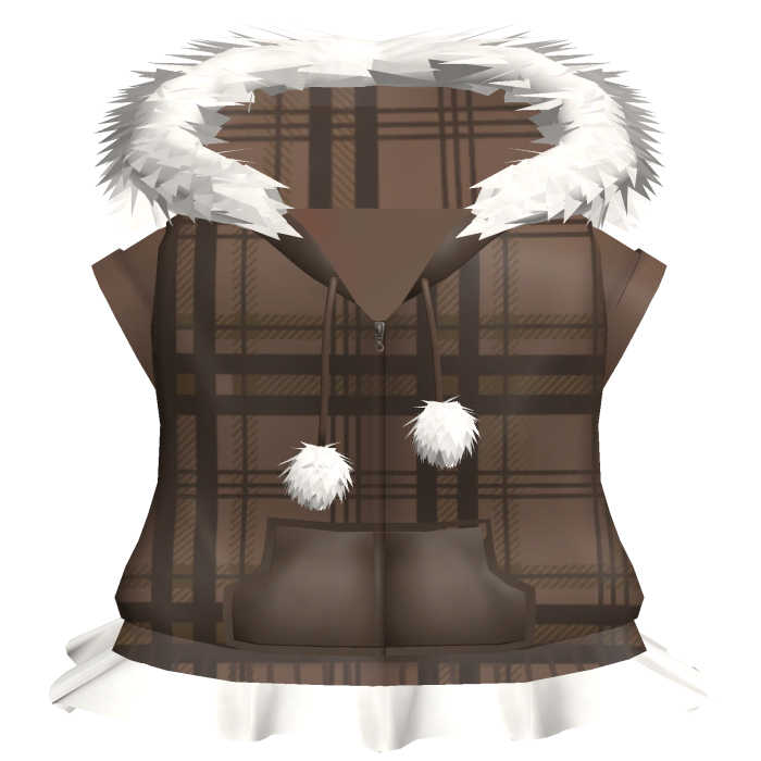 plaid brown winter coat