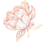 ~ • lotus lands