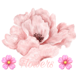 |~Flowers~|