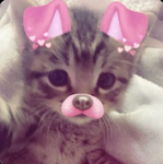GYARU CLUB <33