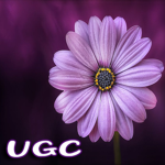 Violet UGC