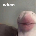BnJ