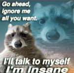 Secret Raccoon Society.