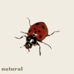naturaI