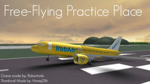 Free-Flying Practice Place 