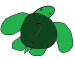 we love turtles studios