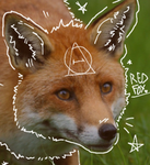 .FoxesRule.