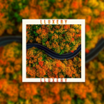 LLuxery