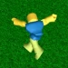 [R15] Ragdoll icon