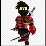Ninja warriors team