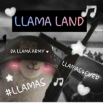 •~Llama land~•