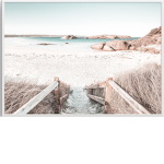 .BeachFans.