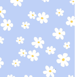 ~Mia’s daisys~