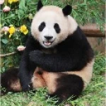 (UPD teum) Slap Battes but cut