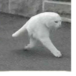 nxjkdjejekkfj