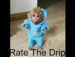MONKEYS!!!!!!!!!!!!!!!!!!!!!!!!!!!!!!!!!!