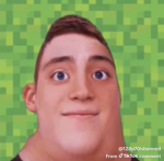 The bald heads v2