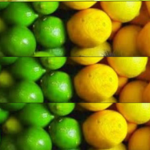 Lemon lime hang out