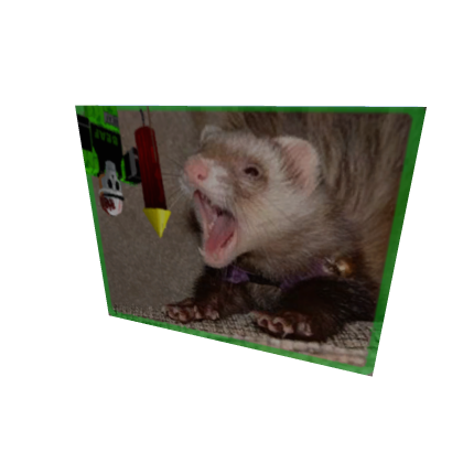 FAT gui