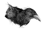 |:|RavenClan|:|