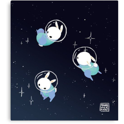 The Rabbit Union Space Station