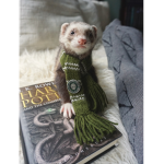 Slytherin Ferrets