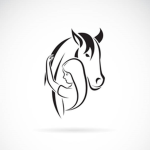 DR Riding Academy