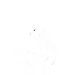 DPM | Whitelisted Department