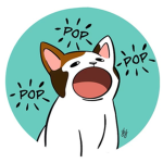 GRUPA POPCATÓW