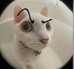 C_DR
