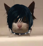 ᵕ̈ נαηѕѕυρєя ᵕ̈