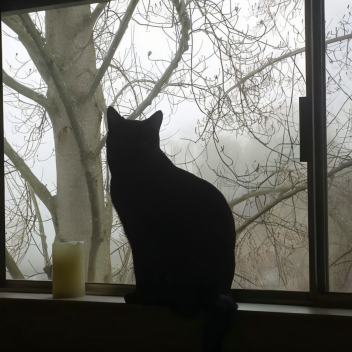 Emplacement de lIIIlIIIlIIIIllIlIII