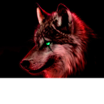 xitsjust_wolfyx beste vrienden groep