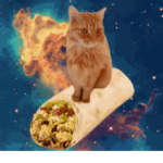 RANDOM space cats :3