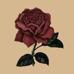 ~.Rose.~