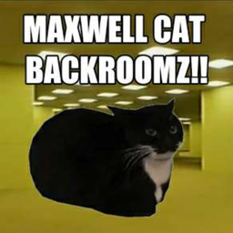 Maxwell Cat in the Backrooms