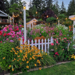 Grow a garden ~