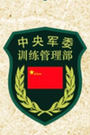 TAD训练管理部门