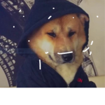 heck_doge fan club WOOF
