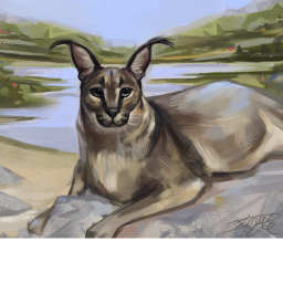 La isla de el caracal floppa
