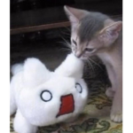 Minty's World~!