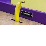 The Banana_Gang