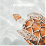 -- oceanside --